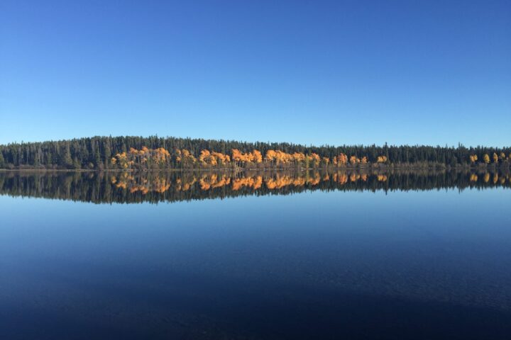 11-Reflections10-12-22